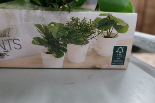 12 pk. Af 3 stk. Planter i plastik