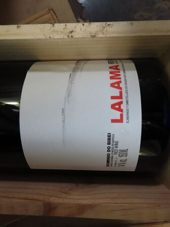 1 fl. rødvin, LALAMA 2017, Dominio do Bibei, Ribeiro, Galicia - 1,5L Magnum