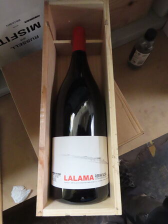 1 fl. rødvin, LALAMA 2017, Dominio do Bibei, Ribeiro, Galicia - 1,5L Magnum