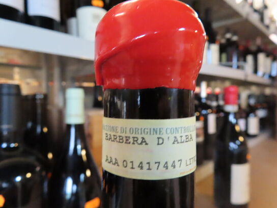 1 fl. rødvin, RÉVA BABERA D'ALBA SUPERIORE 2011  - 1,5L Magnum