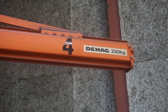 Svingkran, DEMAG 250 kg