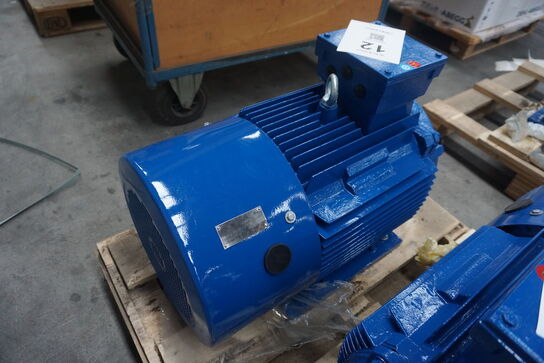 Kraftig el-motor, Hoyer A22 Y2E2-180L-6