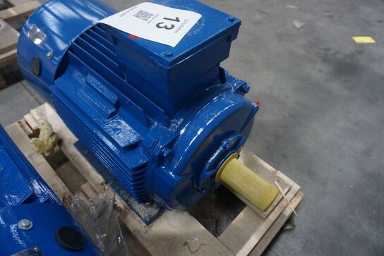 Kraftig el-motor, Hoyer A22 Y2E2-180L-6