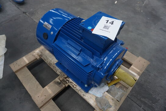 Kraftig el-motor, Hoyer A22 Y2E2-180L-6