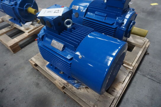 Kraftig el-motor, Hoyer A22 Y2E2-180L-6