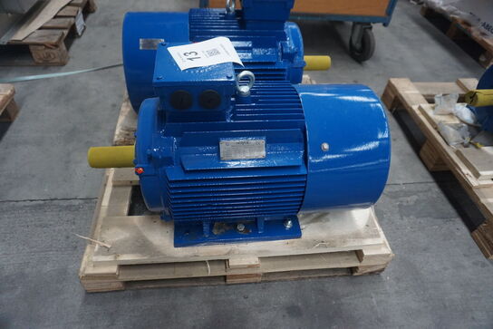 Kraftig el-motor, Hoyer A22 Y2E2-180L-6