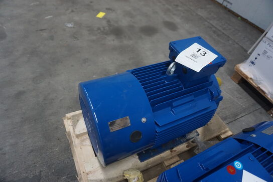 Kraftig el-motor, Hoyer A22 Y2E2-180L-6