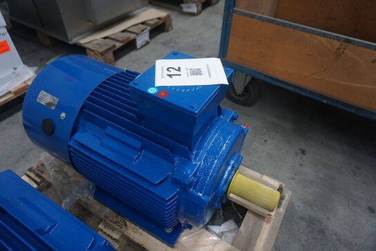 Kraftig el-motor, Hoyer A22 Y2E2-180L-6