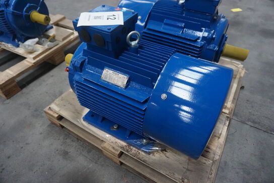 Kraftig el-motor, Hoyer A22 Y2E2-180L-6