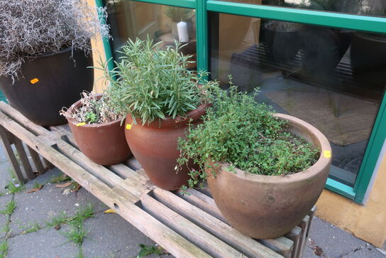 4 stk. planter