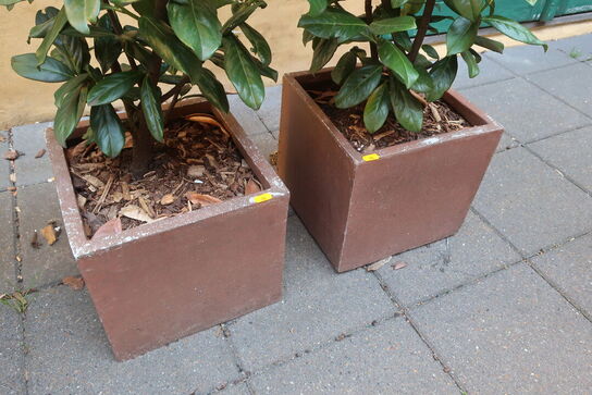 2 stk. planter